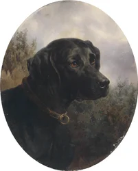 Hector, Vorstehhund des Arthur Ritter v. Schnapper